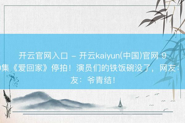 开云官网入口 - 开云kaiyun(中国)官网 9年2800集《爱回家》停拍！演员们的铁饭碗没了，网友：爷青结！